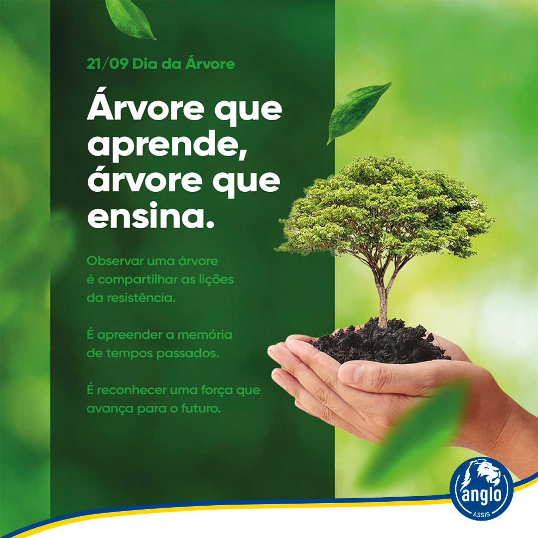 dia-da-arvre-colegio-anglo-assis