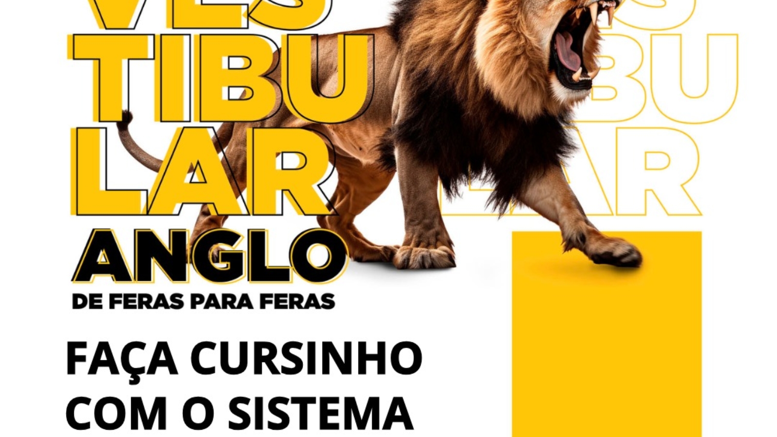 cursinho-vestibular-anglo-assis