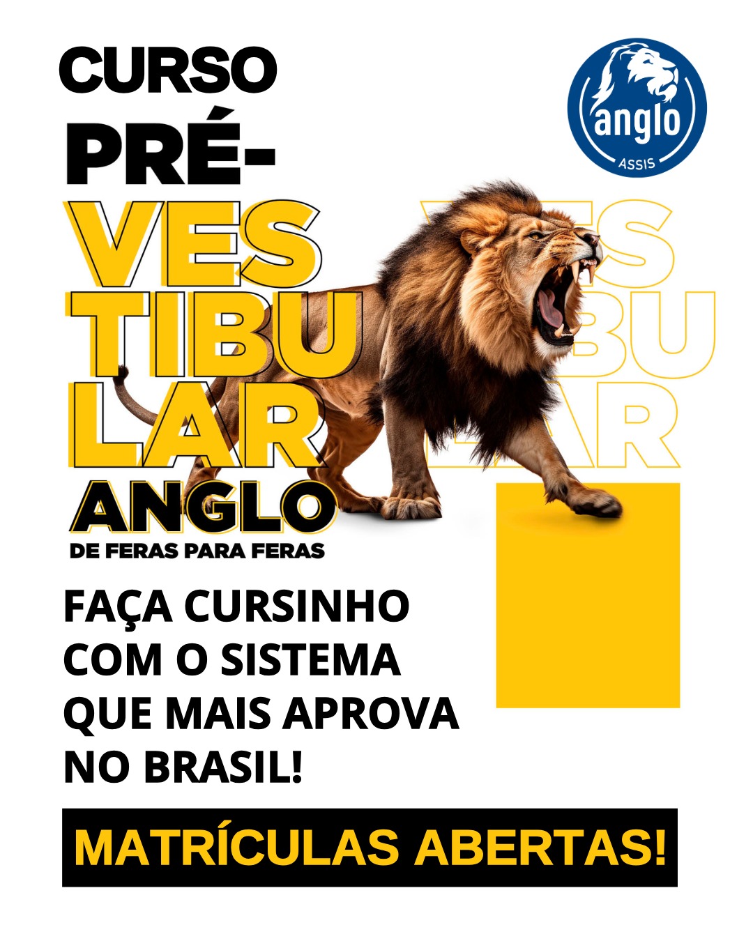 cursinho-vestibular-anglo-assis